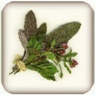 Savory Herbs